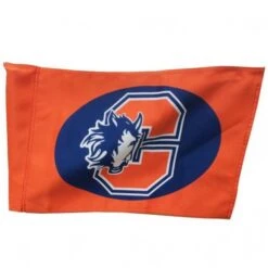 Kwik Goal Custom Official Corner Flag (Upright & Flag) Best Price 2 Kwik Goal Custom Official Corner Flag (Upright & Flag) Best Price -Football Shop a11 983 colts 550x550 1