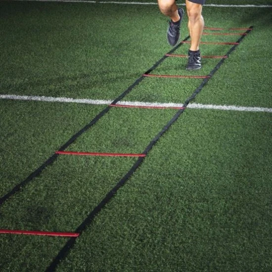 Gill TA168 Go Speed Ladder Best Price Gill TA168 Go Speed Ladder Best Price -Football Shop a84 573 new 01 550x550 1